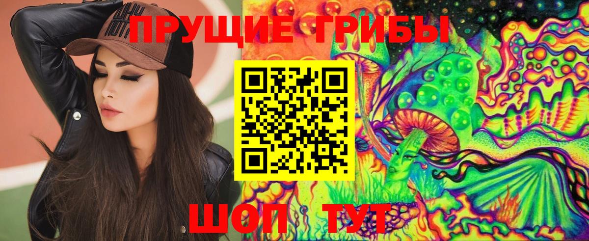 Псилоцибиновые грибы Psilocybine cubensis  Псилоцибиновые грибы GOLDEN TEACHER  Туймазы  Вход с VPN 